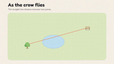 3_CrowFlies.gif