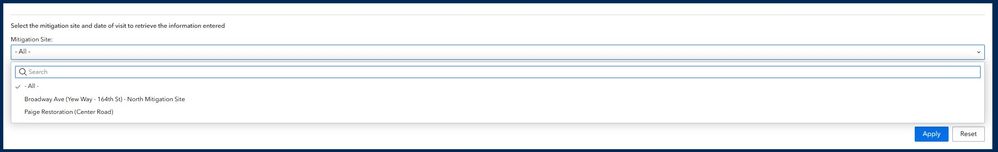 s123_query_widget_runtime.jpg