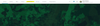 BrianBaldwin_0-1786469142848.png