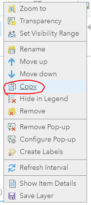 1_CopyLayer.PNG