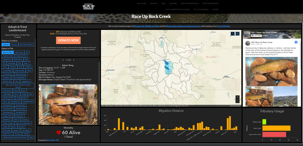 Adopt_a_Trout_dashboard.png