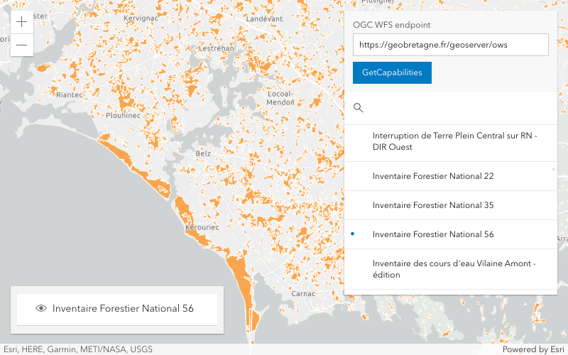 The WFSLayer sample allows you to browse FeatureTypes on the WFS service.