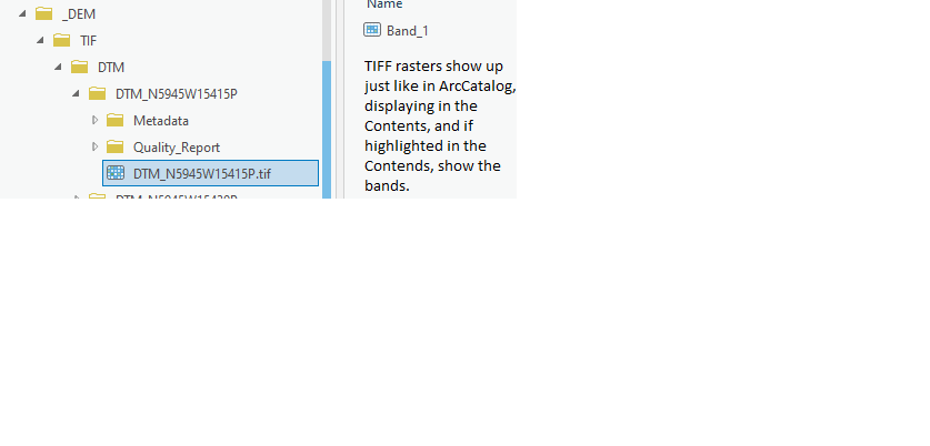 ArcGIS Pro looking at TIFF file, no issue here.