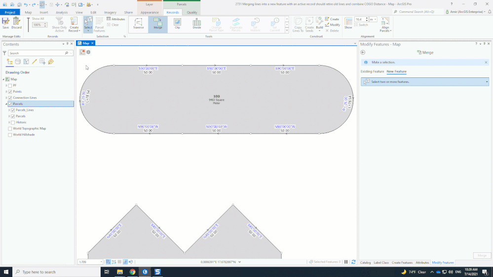 Merge Lines with Active Record combines COGO.gif