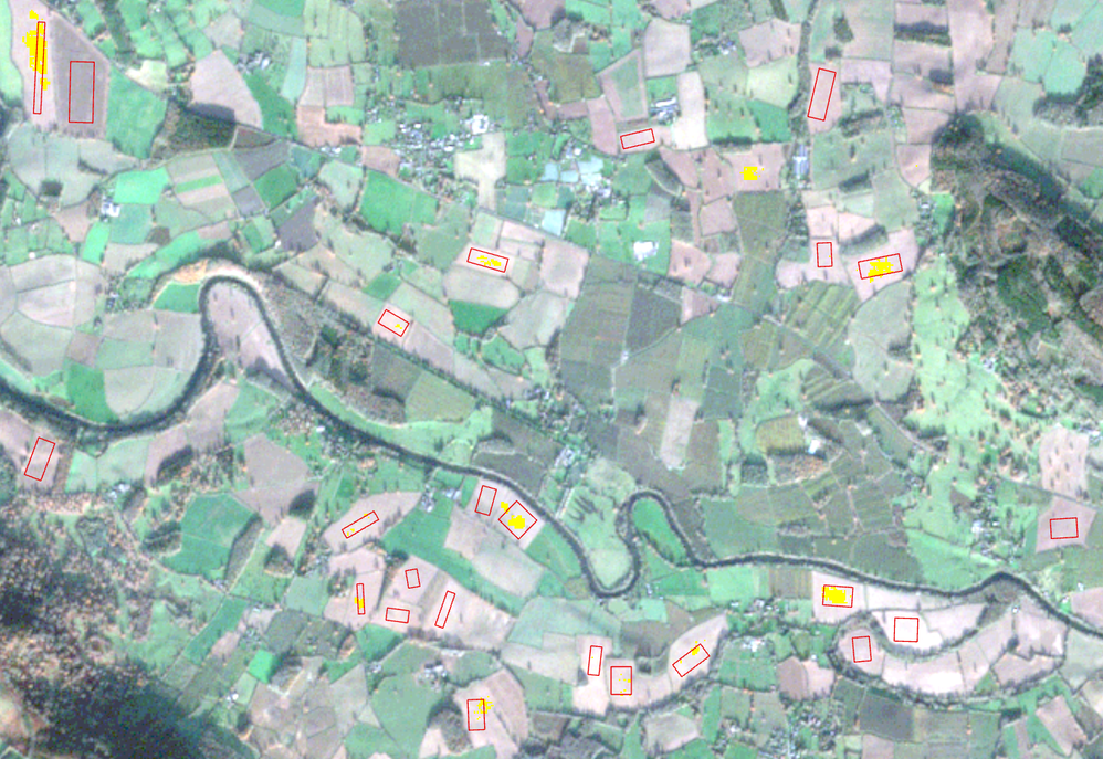 DuncanHornby_0-1627038128504.png