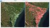 Unencumbered (green) and Encumbered (red) titles