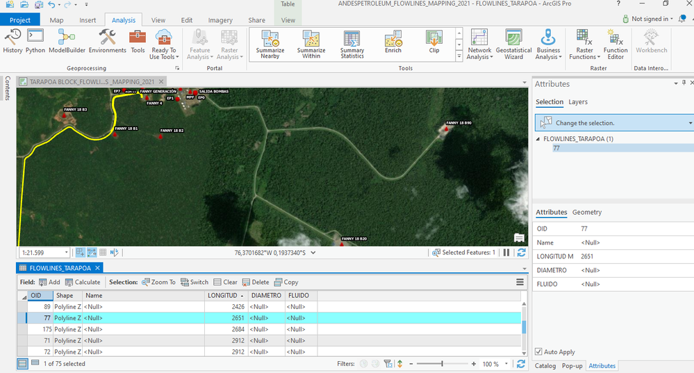 2021-09-16 16_15_09-ANDESPETROLEUM_FLOWLINES_MAPPING_2021 - FLOWLINES_TARAPOA - ArcGIS Pro.png