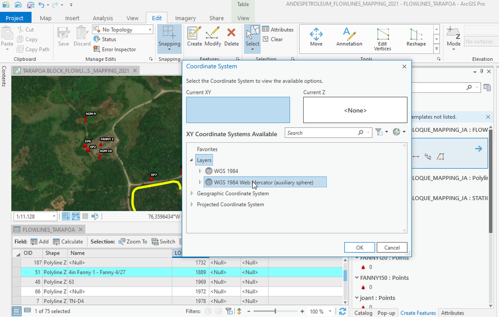 2021-09-16 16_41_42-ANDESPETROLEUM_FLOWLINES_MAPPING_2021 - FLOWLINES_TARAPOA - ArcGIS Pro.png