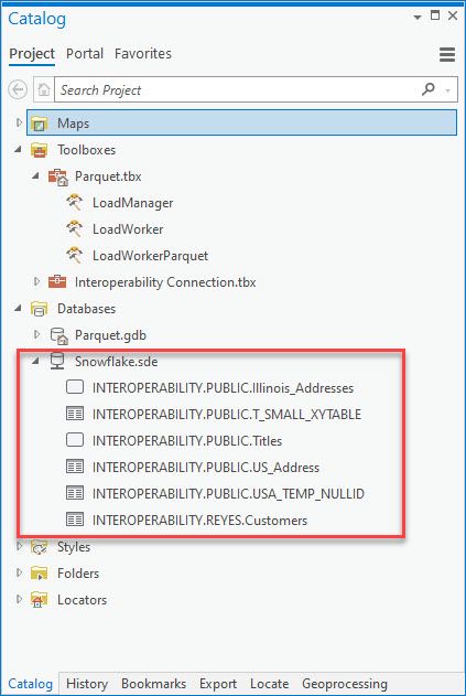 Snowflake in Catalog Pane