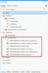 Snowflake in Catalog Pane