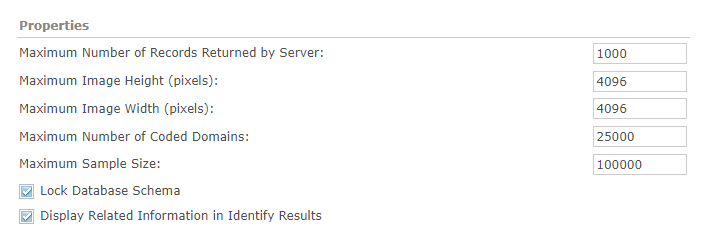 arcgis server service parameters.PNG