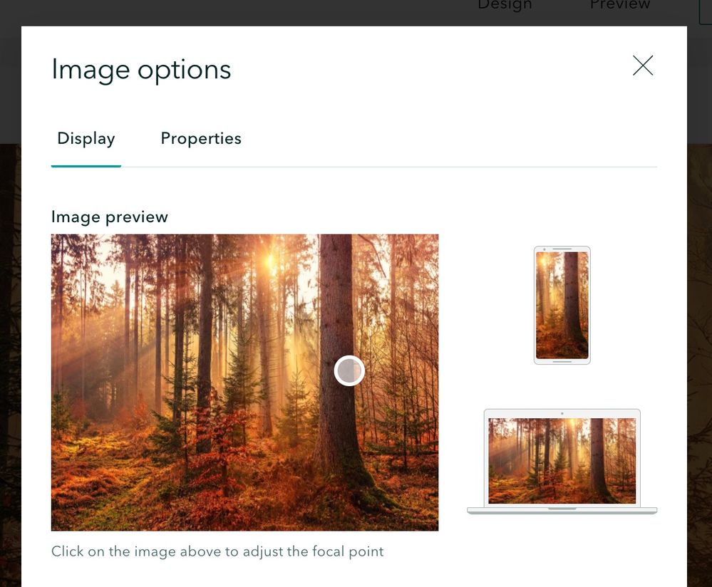 Screen Shot 2021-10-21 at 4.26.14 PM.jpg