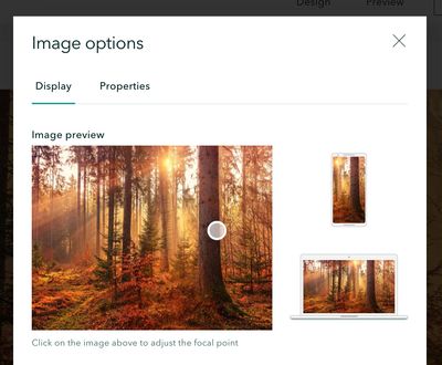 Screen Shot 2021-10-21 at 4.26.14 PM.jpg