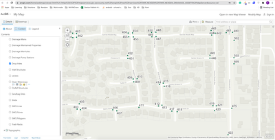 ArcGIS Online Map Viewer