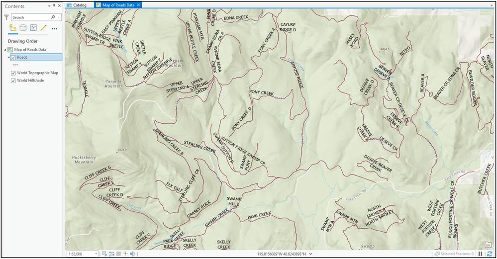 usgs_roads_large_scale_arcgispro.png