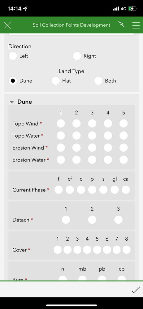 Form opened directly from Survey123