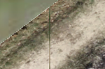 NicolasGIS_1-1635431820808.png