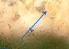 MarkBaird_0-1636627456000.png