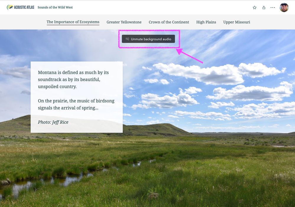 Screen Shot 2021-11-22 at 7.59.02 AM.jpg
