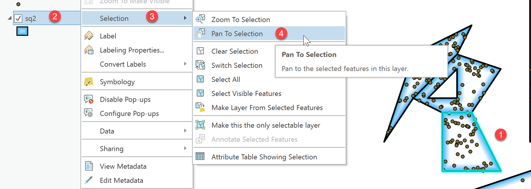 ArcGIS Pro 2.9 How to zoom to a selected feature Esri Community