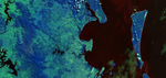 MoretonBay.PNG