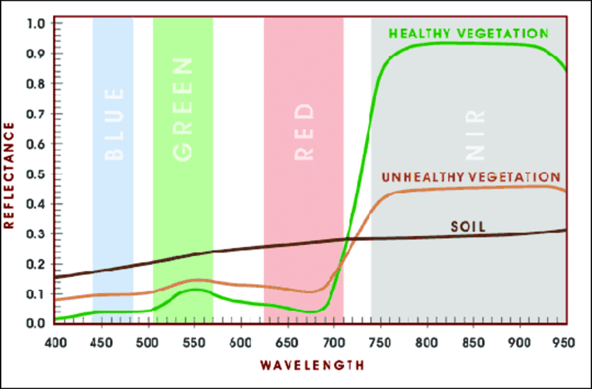 Comparing the spectral reflectance of healthy vegetation, unhealthy vegetation, and soil across visible and NIR wavelengths.