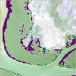 classify_mangroves.png