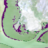 classify_mangroves.png