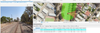 PeterMacKenzie2_1-1643310805776.png