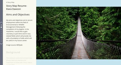 resume-career-objectives.jpg resume-career-objectives.jpg