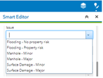 Flood_Issue_Dropdown.png