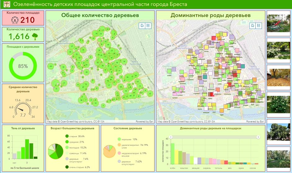 KidPlaygrounds_CityOfBrestBelarus_Dashboard_s.png