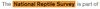 The link text shows after removing and re-adding the hyperlink