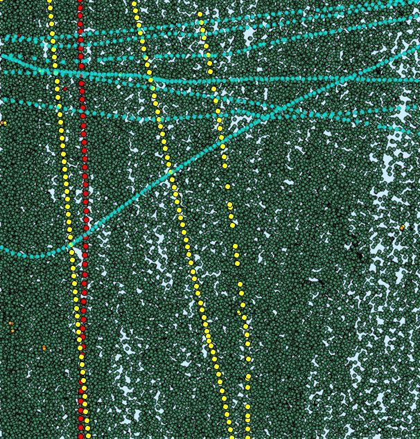 Cotraveler crisscross en masse.JPG