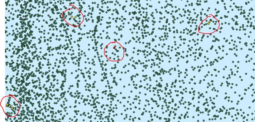 Cotraveler results over the mass.JPG