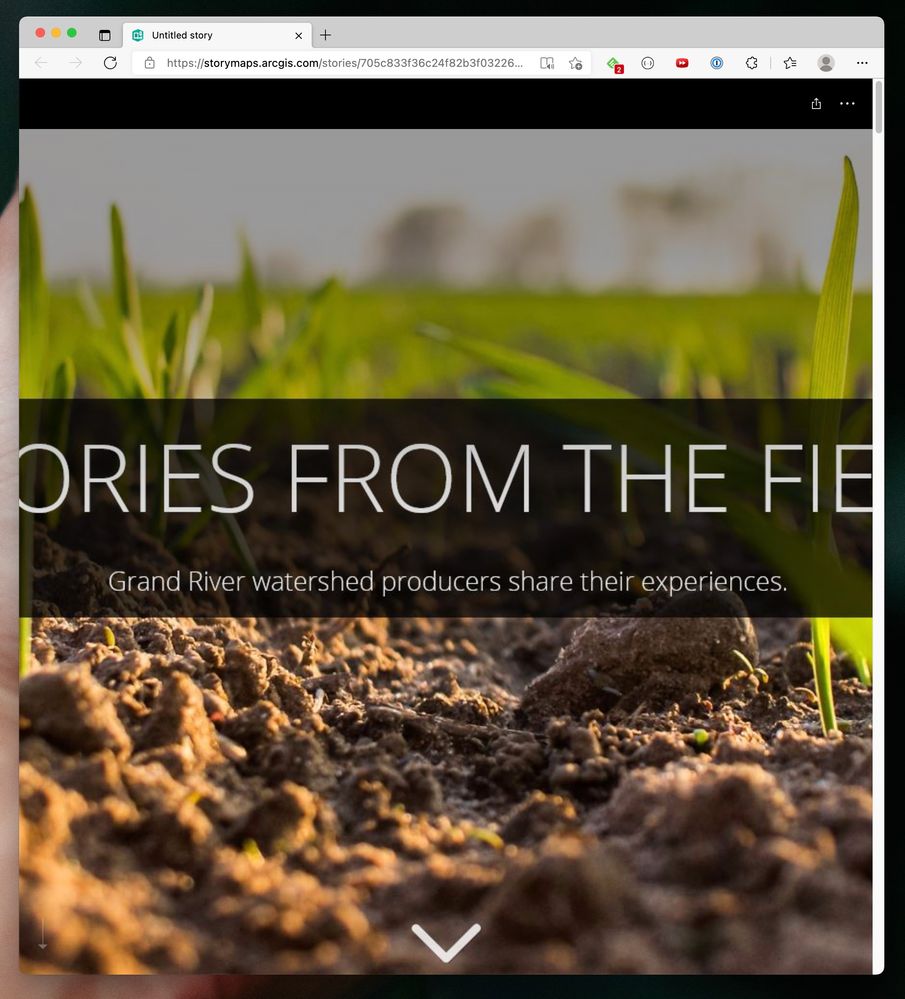 Screen Shot 2022-02-28 at 10.50.56 AM.jpg