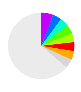 Final pie chart showing the top repeated names with different sized pie slices