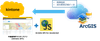 kintone_arcgis.png