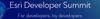 Esri Dev Summit 2021.jpg