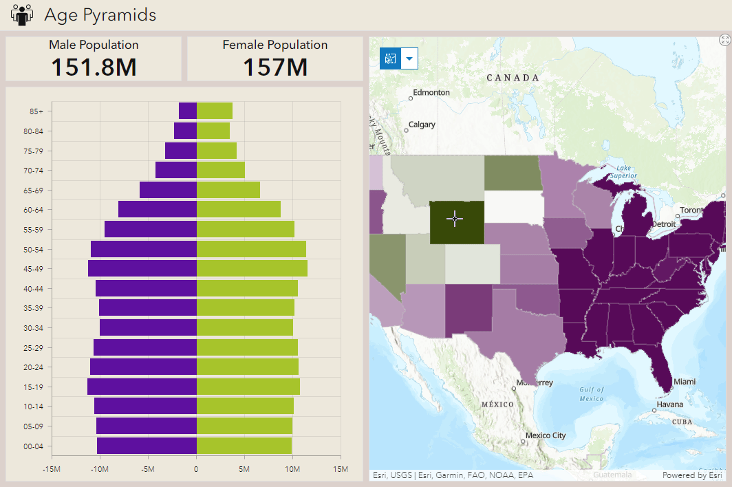 How To Make Age Pyramid Charts in ArcGIS Dashboard... - Esri Community