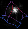 JohannesLindner_8-1655193352927.png