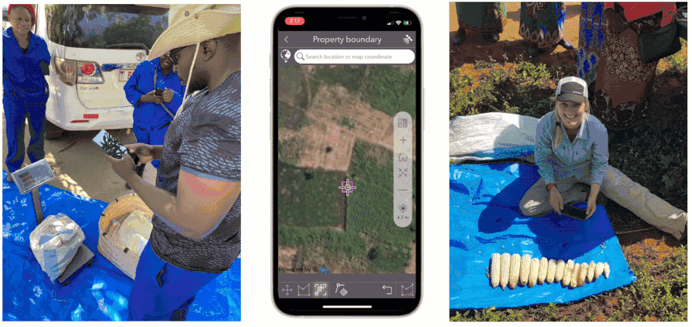 NASA Harvest early warning co-lead, Christina Justice, leads a joint field data collection campaign with FAO in Malawi. She is using Esri’s Survey123 mobile application to record crop statistics. Survey123 serves as the workhorse for data collected on crop conditions and field boundaries, both critical metrics for agricultural applications.