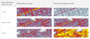heatmap.png
