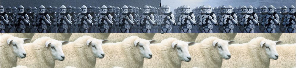 clones2.png