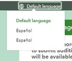 multiple language list.JPG