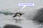 BillFox_1-1605720852496.png