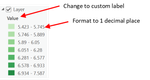 Raster Labels and Format.png
