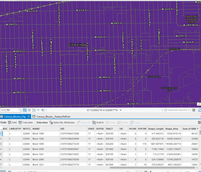 Census Blocks.png