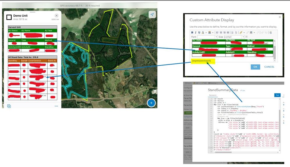 Building HTML with Arcade Field Maps and Web Brow Esri Community