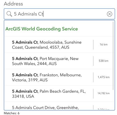 Match (ArcGIS World Geocoding Servcie)